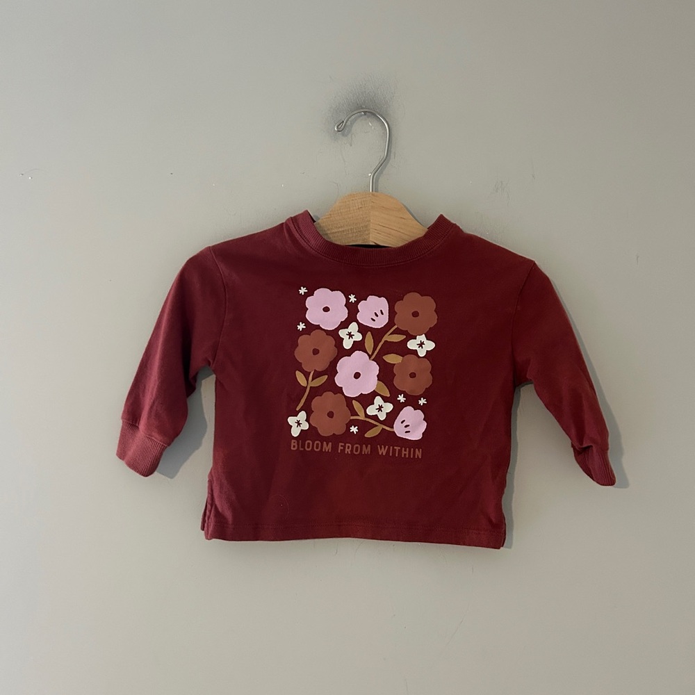 $11 ADD ON Little co.‎ long sleeve tee shirt 9M Kyte Baby Little Bipsy Noralee